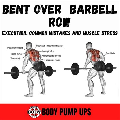 Barbell Row Target Muscles at Andrea Hendrix blog