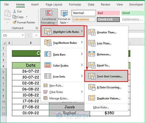 Image result for Conditional Formatting Excel Text