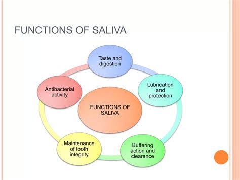 Saliva its anatomy and physiology of salivary glands | PPTX