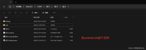 Strerror Example 的图像结果