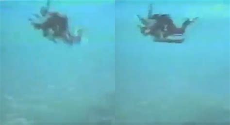 Skydiver Ivan McGuire said four heart-breaking words after realizing he ...