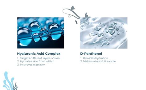 Seasoul SEA SOUL Oil-Free Hydrator Face Moisturizer - 50ml ...