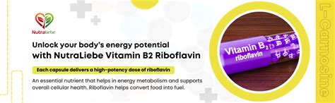 NutraLiebe Vitamin B2 Riboflavin - High Potency, Supports Energy ...