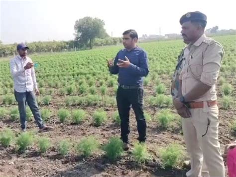 Fear of leopard sightings in Naganesh village of Ranpur taluka; The ...