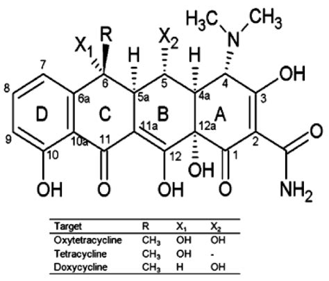 The Role of Aryldiazonium Chemistry in Designing Electrochemical ...