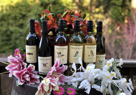 Trinity River Vineyards | Willow Creek AVA | Humboldt Wine