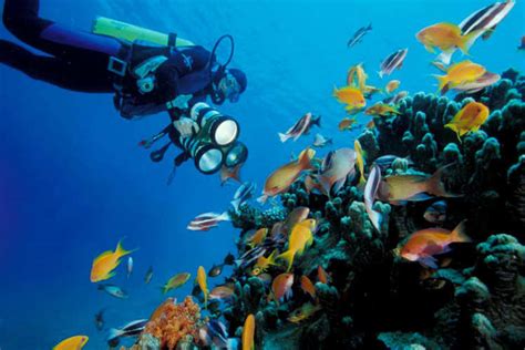 Jordan's most exciting adventures | Times of India Travel