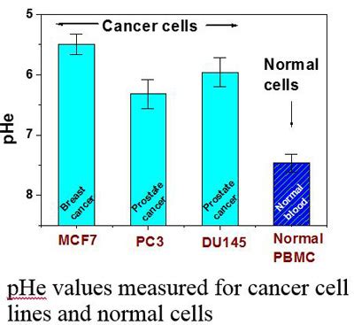 Extra-Cellular Acidity Analyzer (ECAA) – Bhabha Atomic Research Centre ...