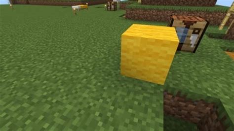 Image result for Minecraft Java World Map