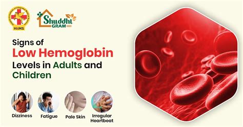 Low Hemoglobin Symptoms: Signs, Causes & Treatment Options