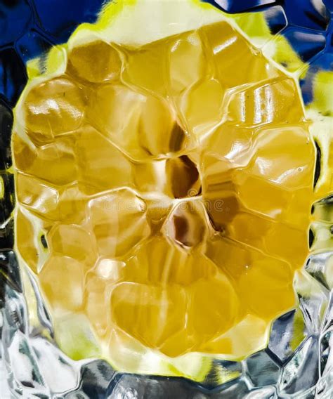 Image result for Lemon Slice Texture