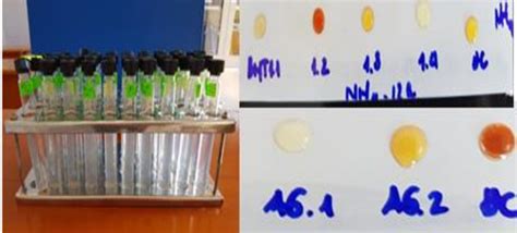 Nessler Reagent 的图像结果