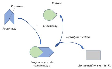 Synthetic Biology and Control Theory: Designing Synthetic Biomolecular Controllers by Exploiting ...
