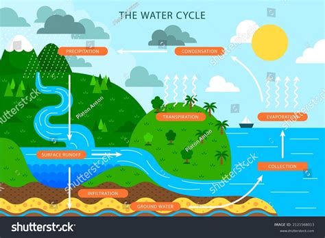 Ecosystem Cycle 的图像结果