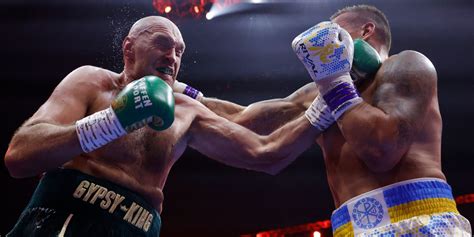 Boxer Player 的图像结果