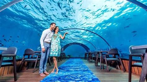 5 Best Underwater Restaurants In Maldives In 2026