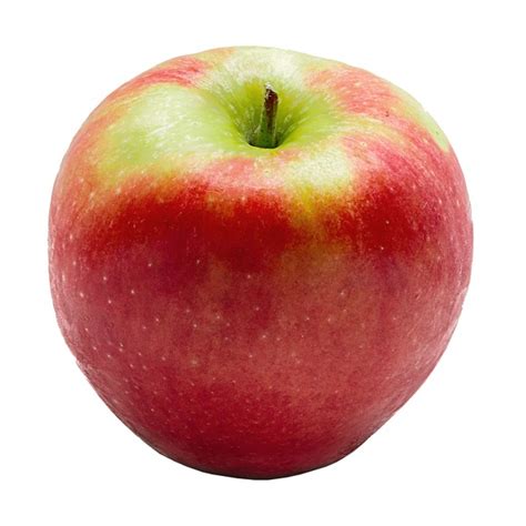 Image result for Apple System.Data