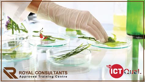 Biotechnology Engineering 的图像结果