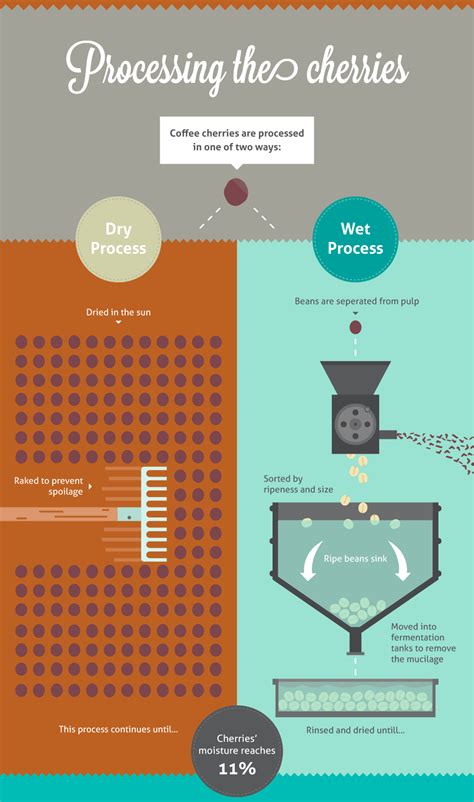 How They Make Coffee 的图像结果