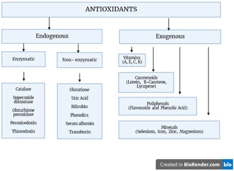 Disorders of Endogenous and Exogenous Antioxidants in Neurological Diseases