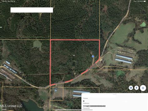 Mendenhall, Simpson County, MS Undeveloped Land for sale Property ID ...