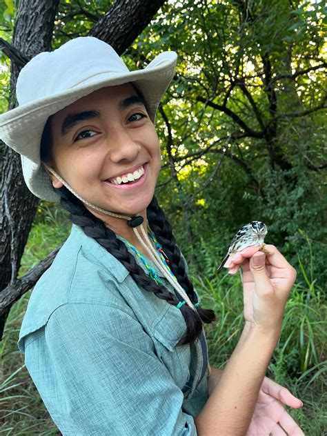 UNT Painted Bunting Project (@paintedbunting_unt) • Instagram photos ...