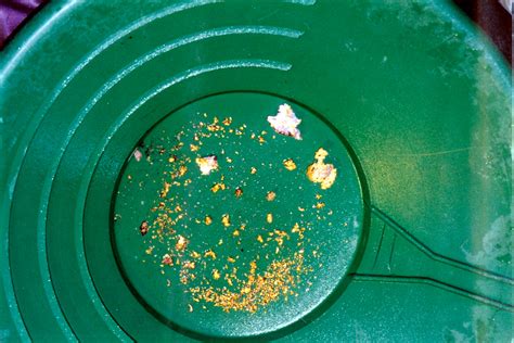 Want to be a Panner? A Mini Gold Rush is Going on in The U.S. | The ...