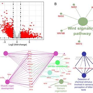 Image result for Copy Number Variation Genes
