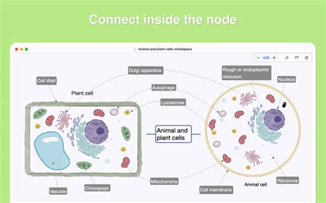 Image result for Mind Space Connection