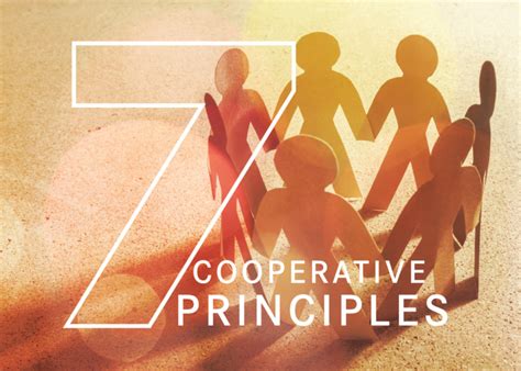Principles of Cooperation 的图像结果