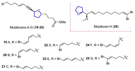 The Tetrahydrofuran Motif in Marine Lipids and Terpenes | Encyclopedia MDPI