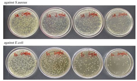 Fabrication, Characterization, and Antimicrobial Activity of Carvacrol ...