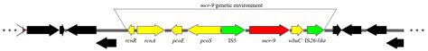 Dissemination of IncQ1 Plasmids Harboring NTEKPC-IId in a Brazilian ...