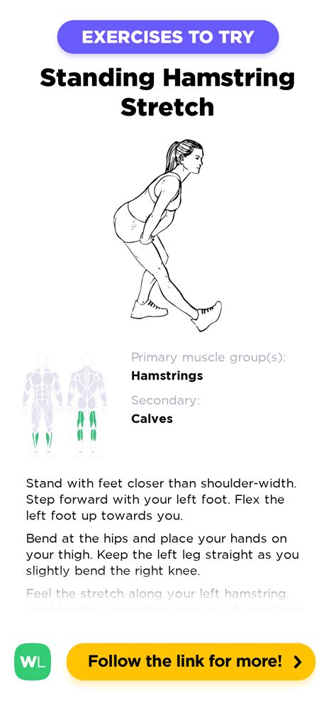 Hamstring Stretch Exercise 的图像结果