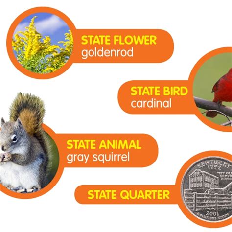 Kentucky State Flower And Tree