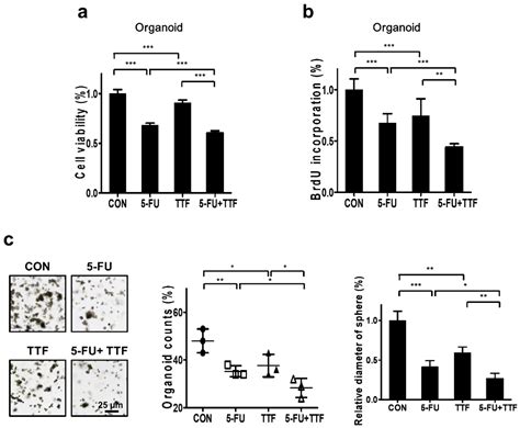 5-Fluorouracil as a Tumor-Treating Field-Sensitizer in Colon Cancer Therapy