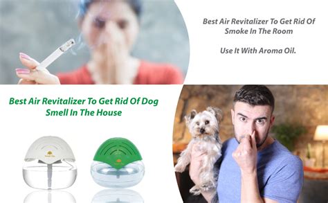 Forest Clay Portable Room Air Purifier Aroma Diffuser Or Humidifier ...