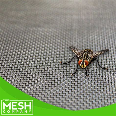 Image result for Cladding Insect Mesh