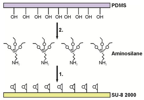 Fabrication of Hybrid Microfluidic System on Transparent Substrates for ...