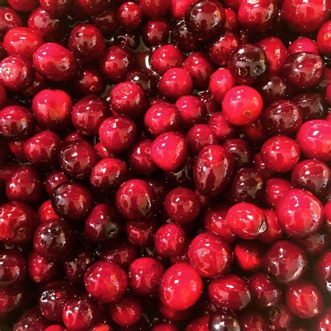 How Long Does Cranberry Sauce Last?