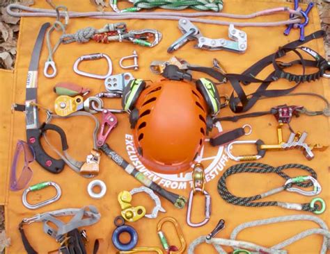 Image result for Tree Jack Software