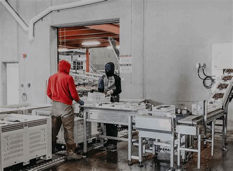 Manufacturing Conveyor Belt 的图像结果