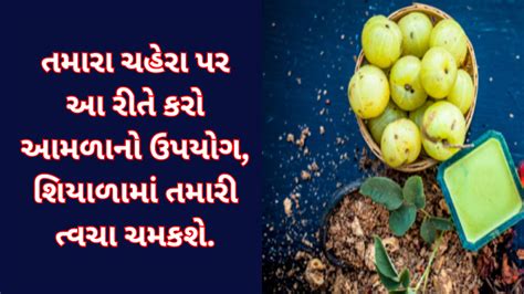 Amla Skin Care: તમારા ચહેરા પર આ રીતે કરો આમળાનો ઉપયોગ, શિયાળામાં તમારી ...