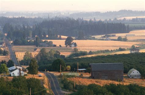 Local Communty 的图像结果