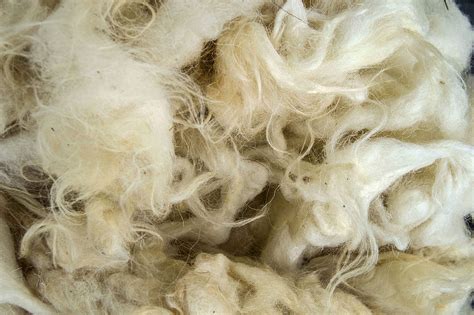 What Are The Five Properties Of Wool at Bryan Riggs blog