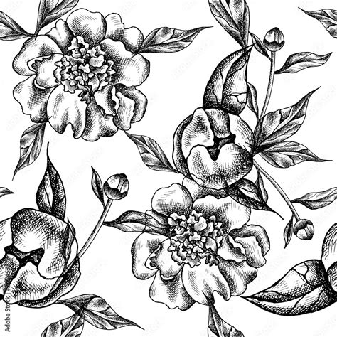 Image result for Desgin Von Lado in HTML CSS JavaScript