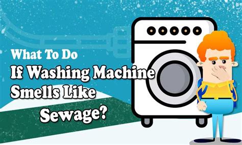 Image result for Washing Machine Smell Solutions