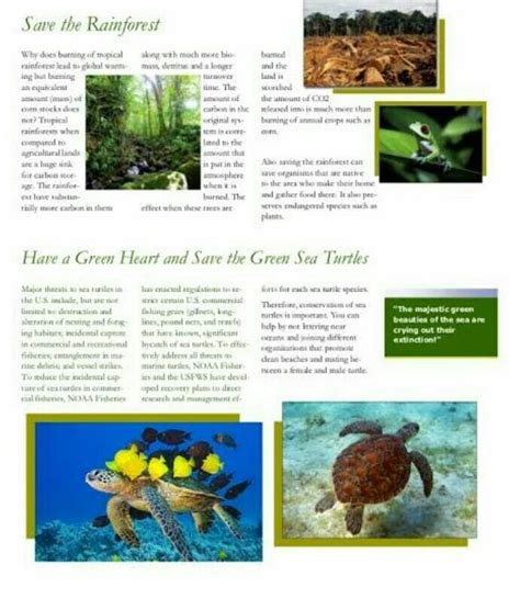 Write a newsletter onTopic "Go Green".Please answer quickly - Brainly.in