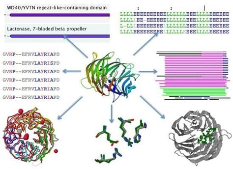 Proteins of Unknown Function in the Protein Data Bank (PDB): An ...