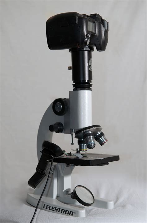 Image result for How Does a Digital Camera Work